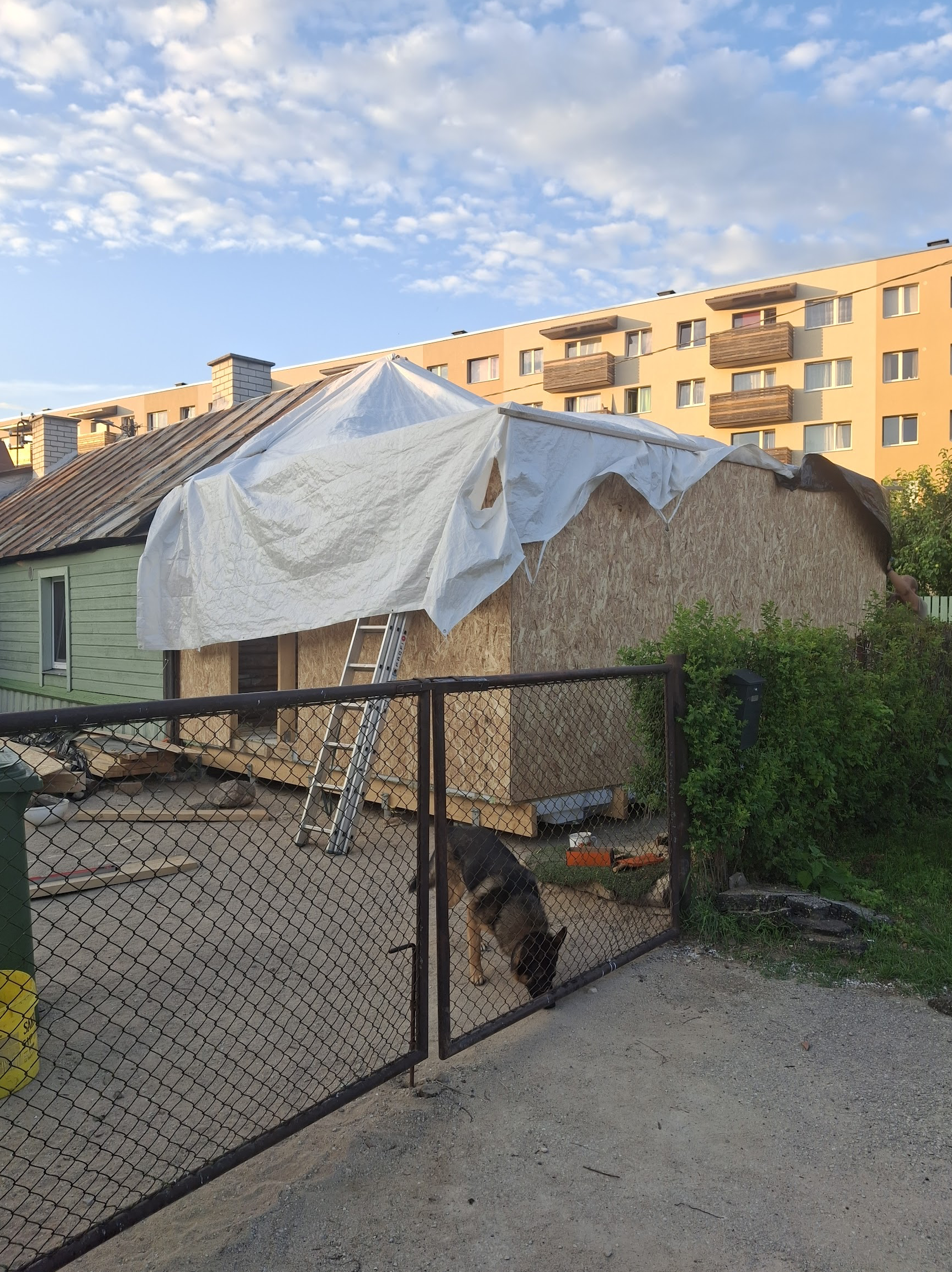 Screenshot 2026 03 23 At 13.26.04